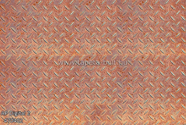 AP Digital 2 470402