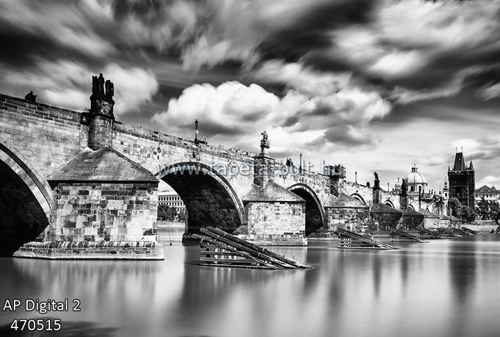 AP Digital 2 470515