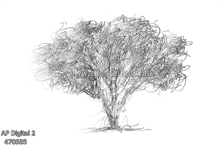 AP Digital 2 470535