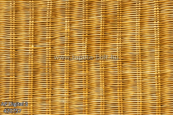 AP Digital 3 470757