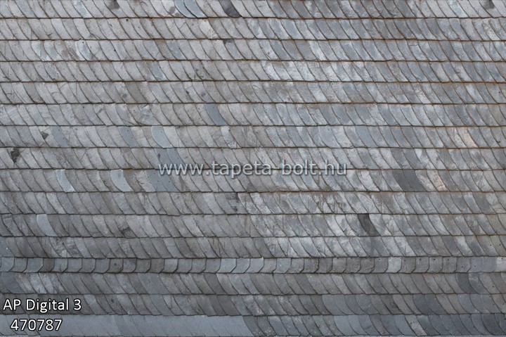 AP Digital 3 470787
