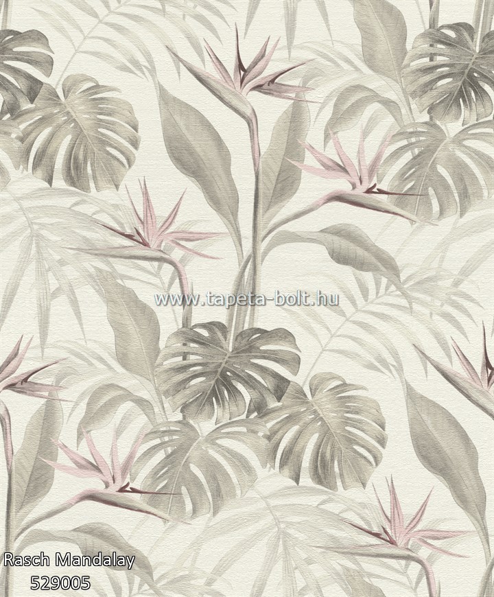 Rasch Mandalay 529005