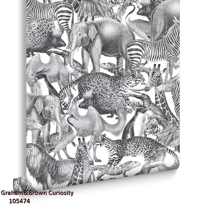 Graham&Brown Curiosity 105474