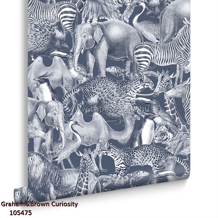 Graham&Brown Curiosity 105475