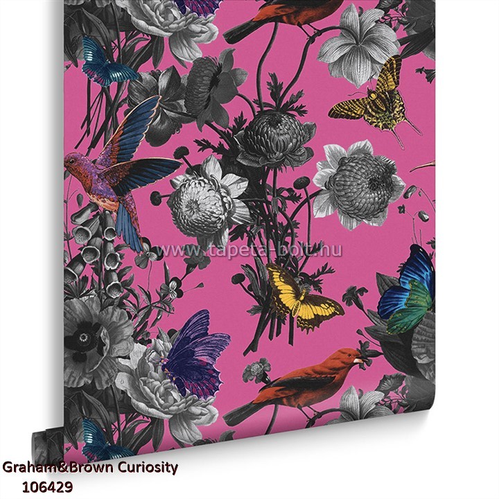 Graham&Brown Curiosity 106429