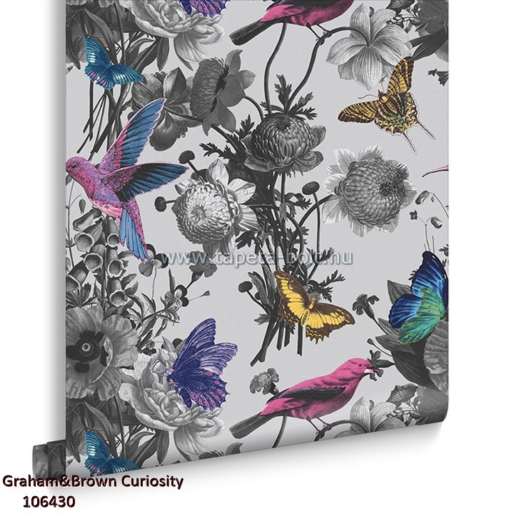 Graham&Brown Curiosity 106430