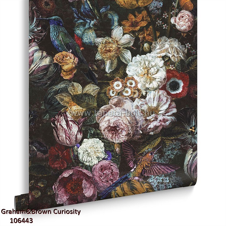 Graham&Brown Curiosity 106443