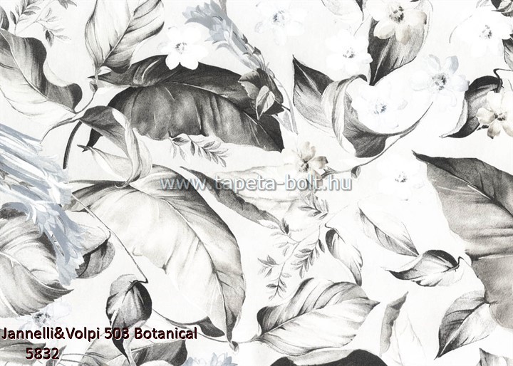 Jannelli and Volpi 503 Botanical 5832