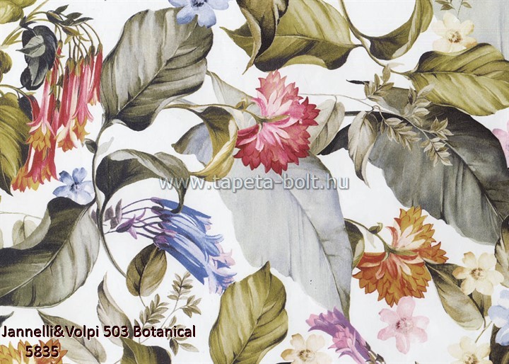 Jannelli and Volpi 503 Botanical 5835