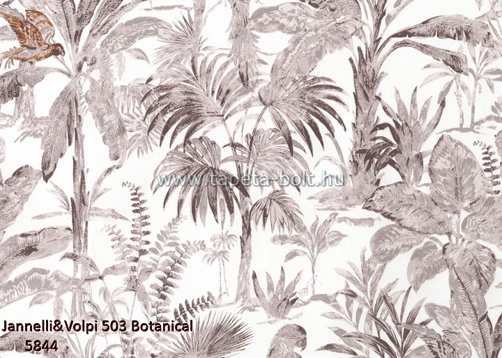 Jannelli and Volpi 503 Botanical 5844