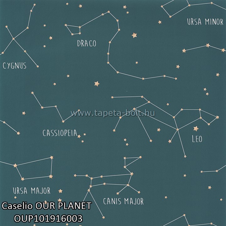 Caselio OUR PLANET OUP101916003
