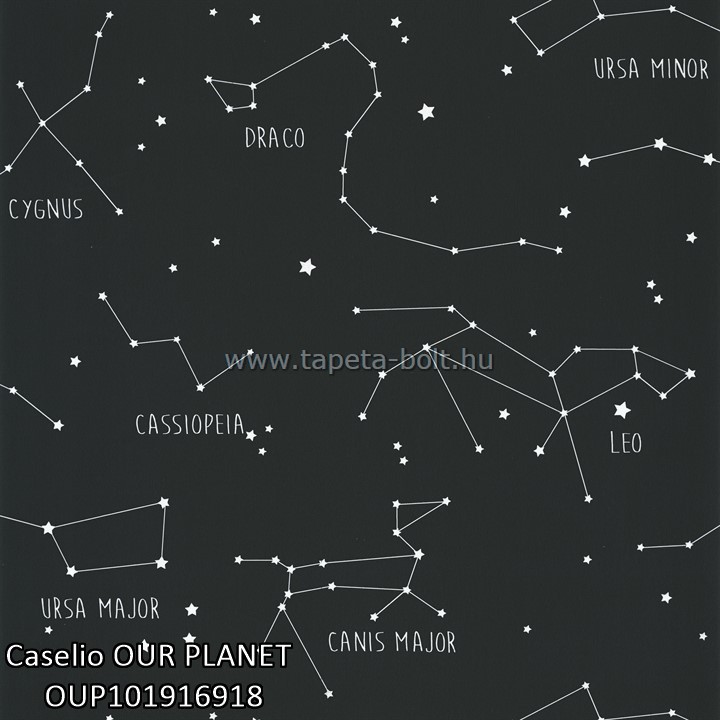 Caselio OUR PLANET OUP101916918