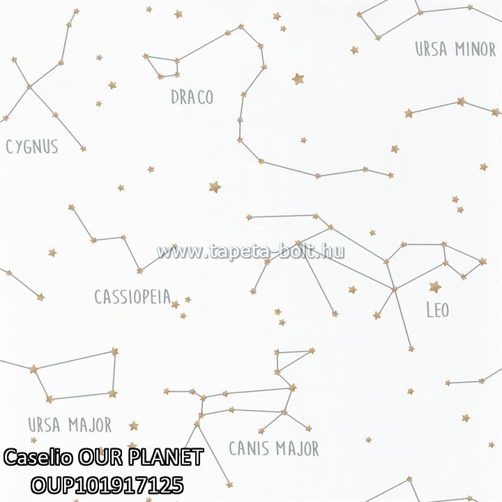 Caselio OUR PLANET OUP101917125