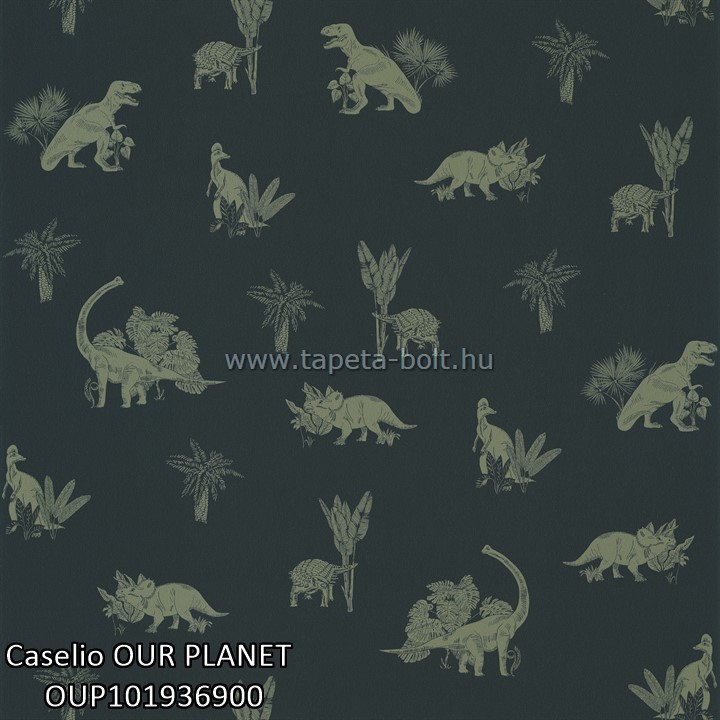 Caselio OUR PLANET OUP101936900