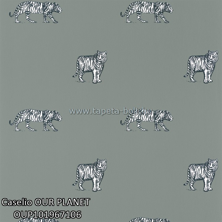 Caselio OUR PLANET OUP101967106