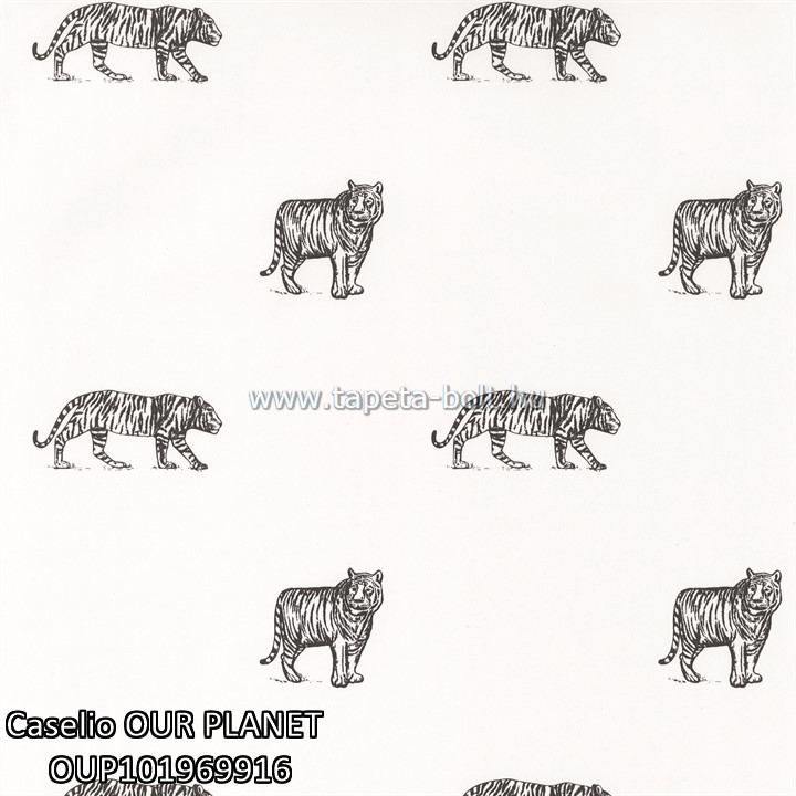 Caselio OUR PLANET OUP101969916