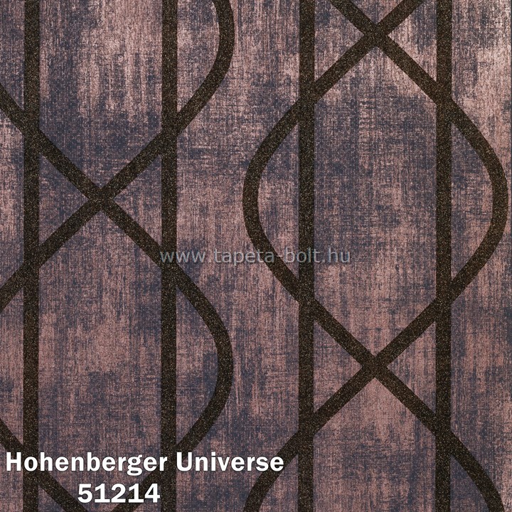 Hohenberger Universe 51214