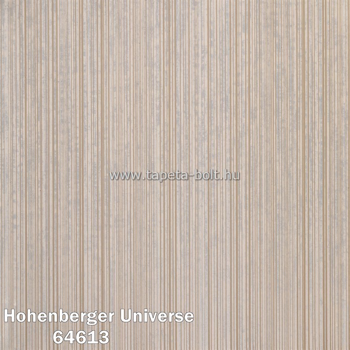 Hohenberger Universe 64613