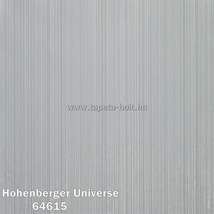 Hohenberger Universe 64615