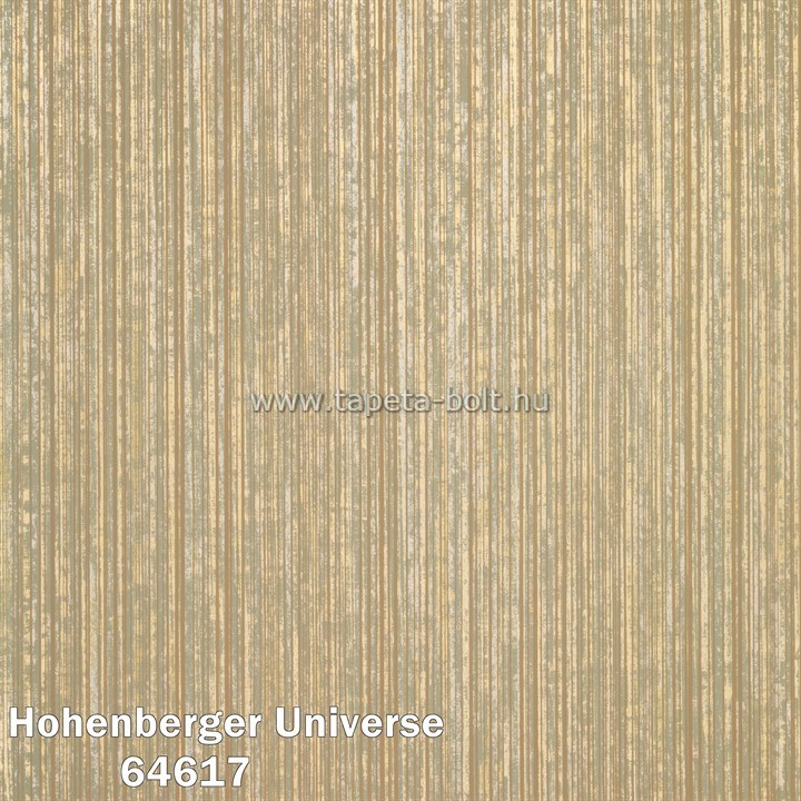 Hohenberger Universe 64617