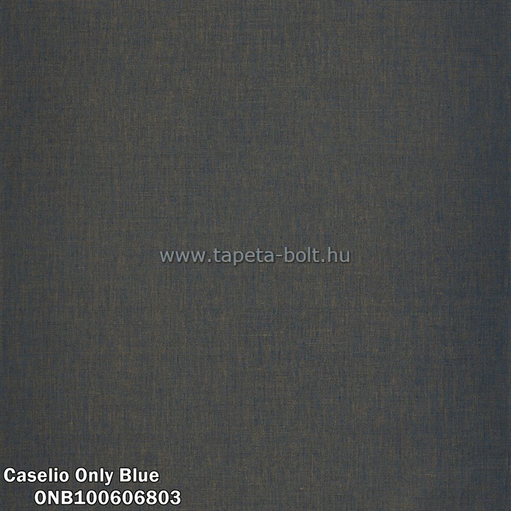 Caselio Only Blue ONB100606803