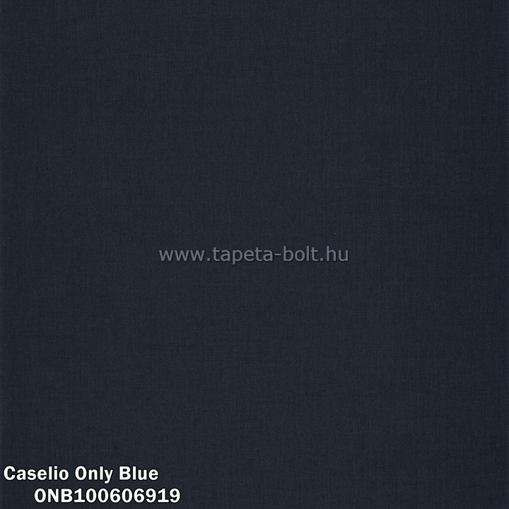 Caselio Only Blue ONB100606919