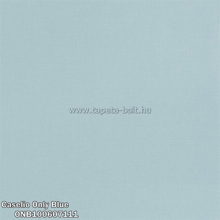 Caselio Only Blue ONB100607111