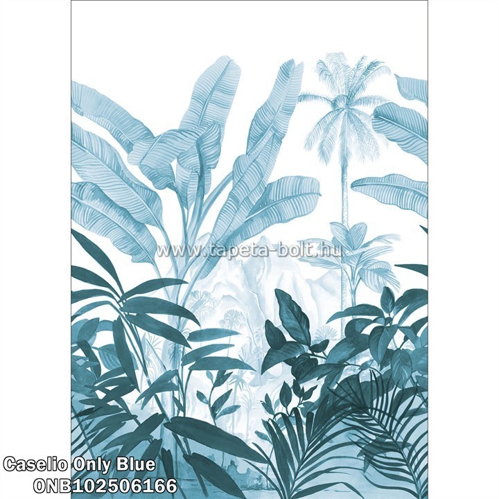 Caselio Only Blue ONB102506166