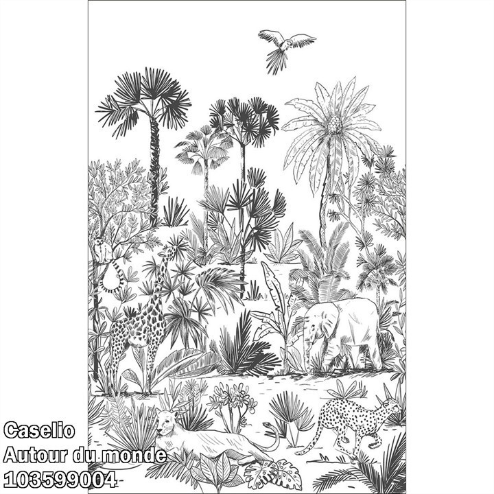 Caselio Autour du monde ADM103599004