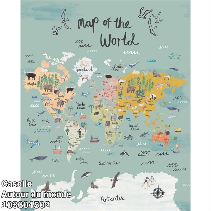 Caselio Autour du monde ADM103604502