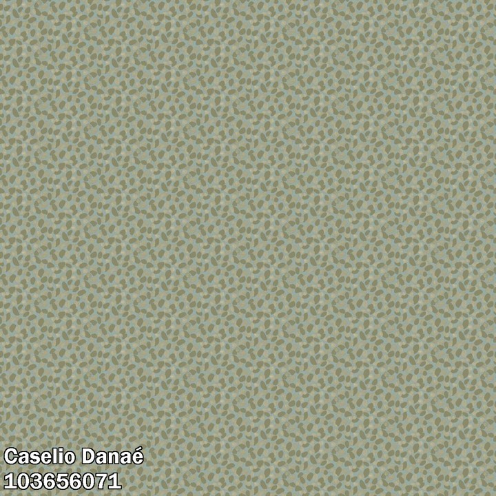 Caselio Danae DAE103656071