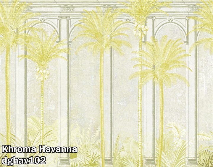 Khroma Havanna dghav102