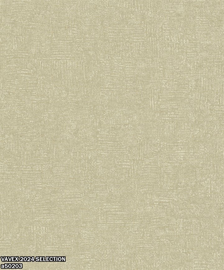 VAVEX 2024 SELECTION a50203