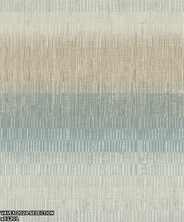 VAVEX 2024 SELECTION a51201