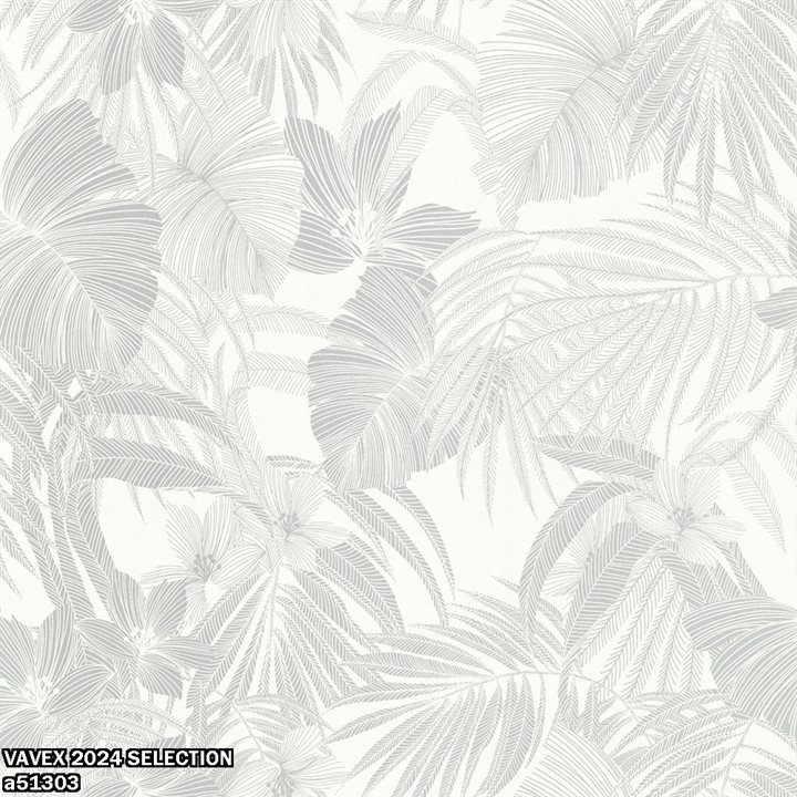 VAVEX 2024 SELECTION a51303