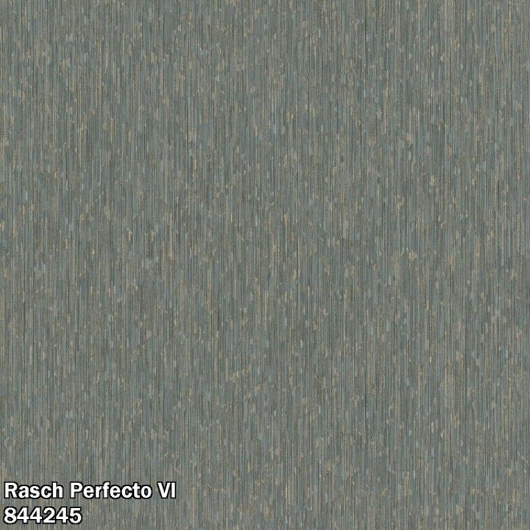 Rasch Perfecto VI 844245