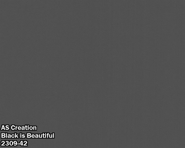 AS Creation Black is Beautiful 2309-42