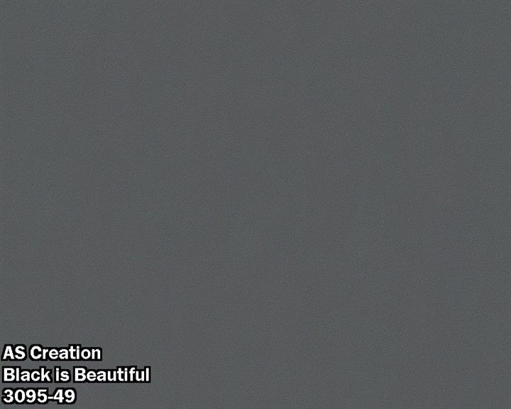 AS Creation Black is Beautiful 3095-49