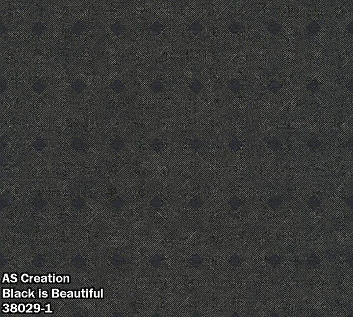 AS Creation Black is Beautiful 38029-1