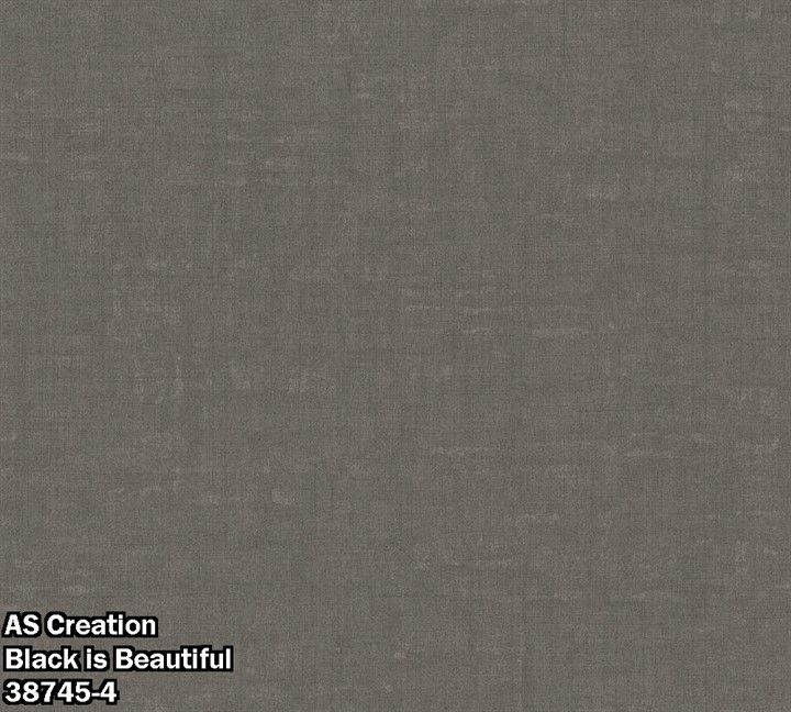 AS Creation Black is Beautiful 38745-4