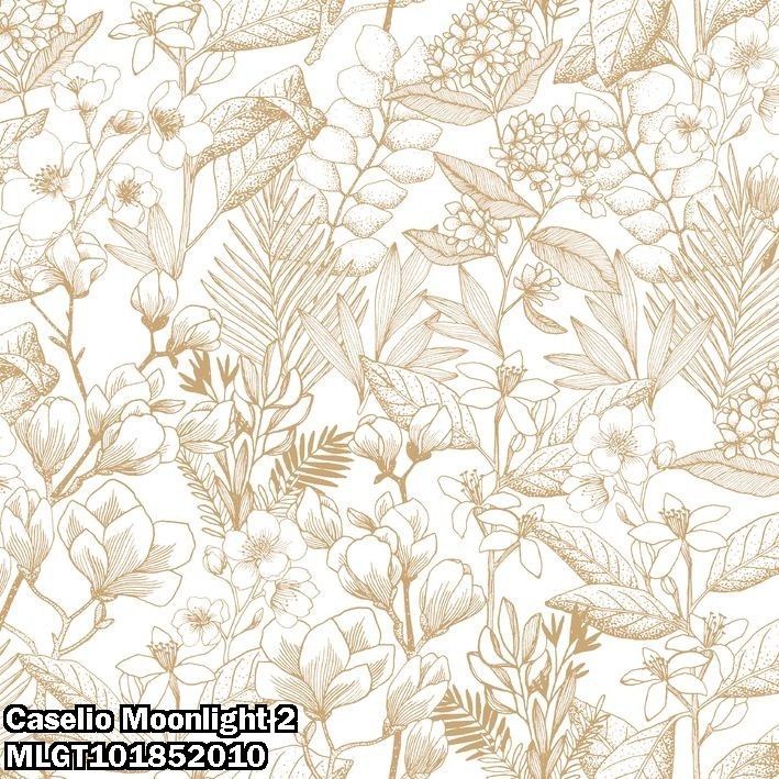 Caselio Moonlight 2 MLGT101852010