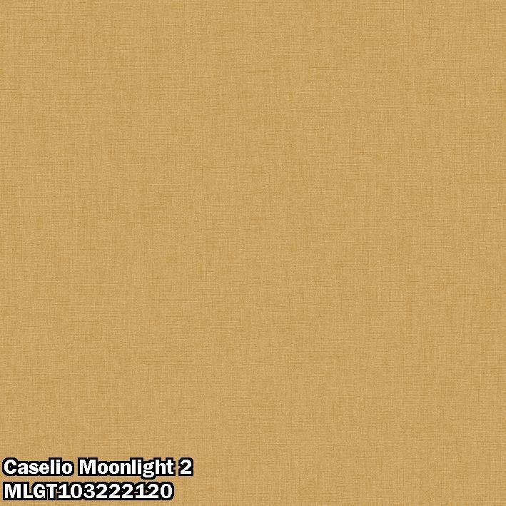 Caselio Moonlight 2 MLGT103222120