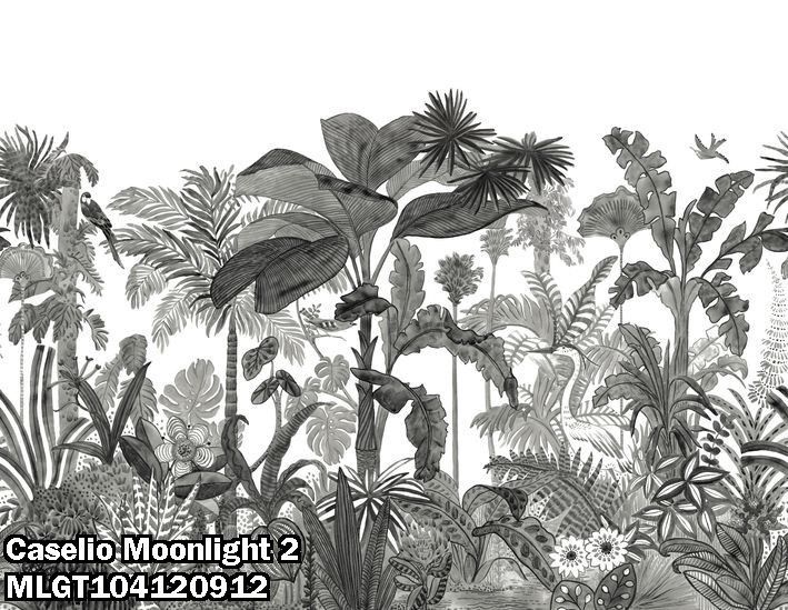Caselio Moonlight 2 MLGT104120912