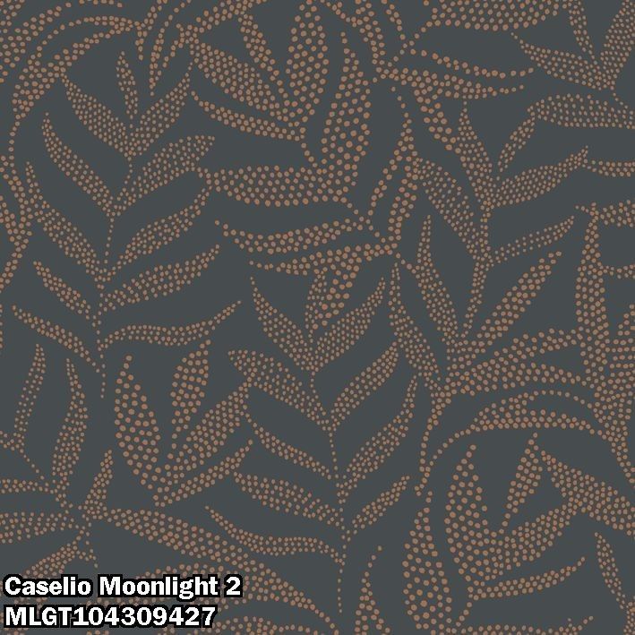 Caselio Moonlight 2 MLGT104309427
