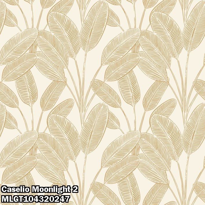 Caselio Moonlight 2 MLGT104320247