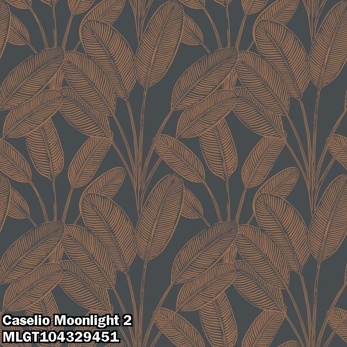 Caselio Moonlight 2 MLGT104329451