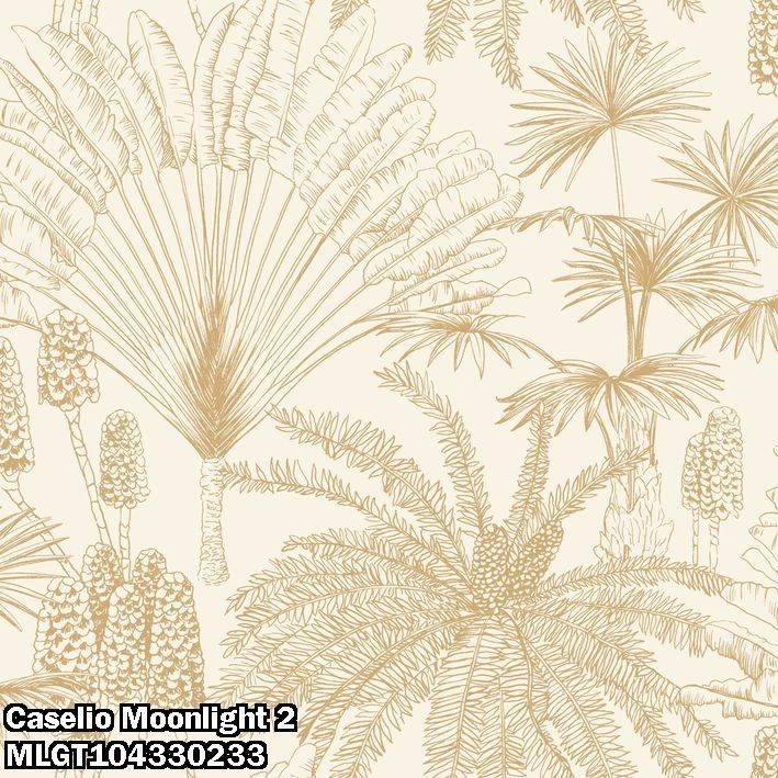 Caselio Moonlight 2 MLGT104330233