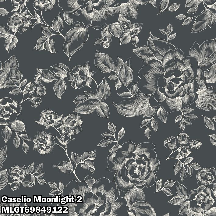 Caselio Moonlight 2 MLGT69849122