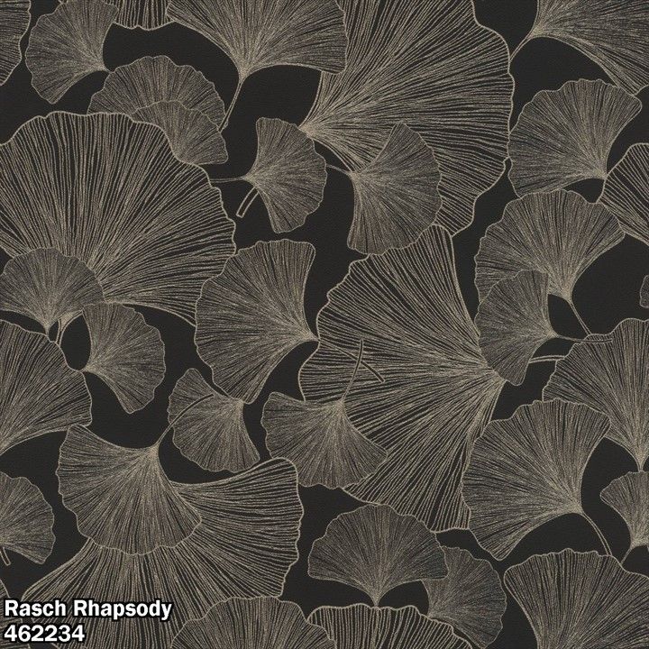 Rasch Rhapsody 462234