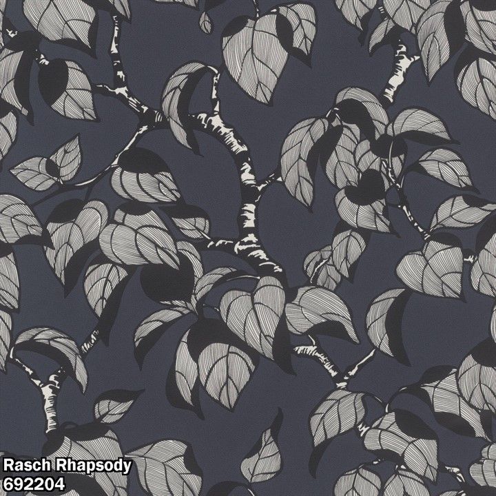 Rasch Rhapsody 692204